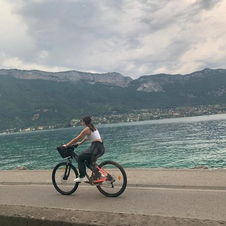 Petit Cocon Entre Lac, Golf Et Montagne, Proche D'Annecy Giez Buitenkant foto